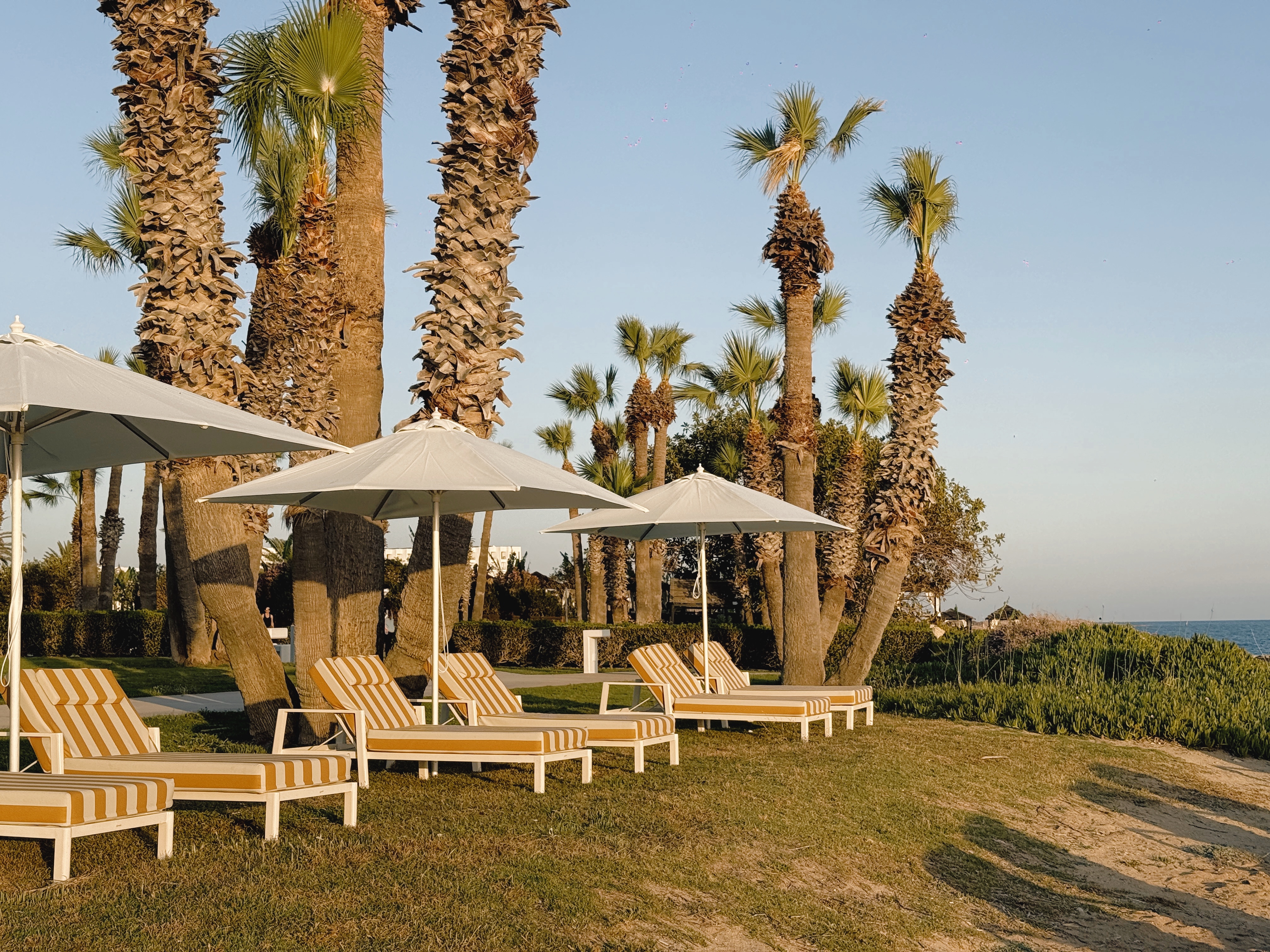 Book your wedding day in Louis Imperial Beach Paphos